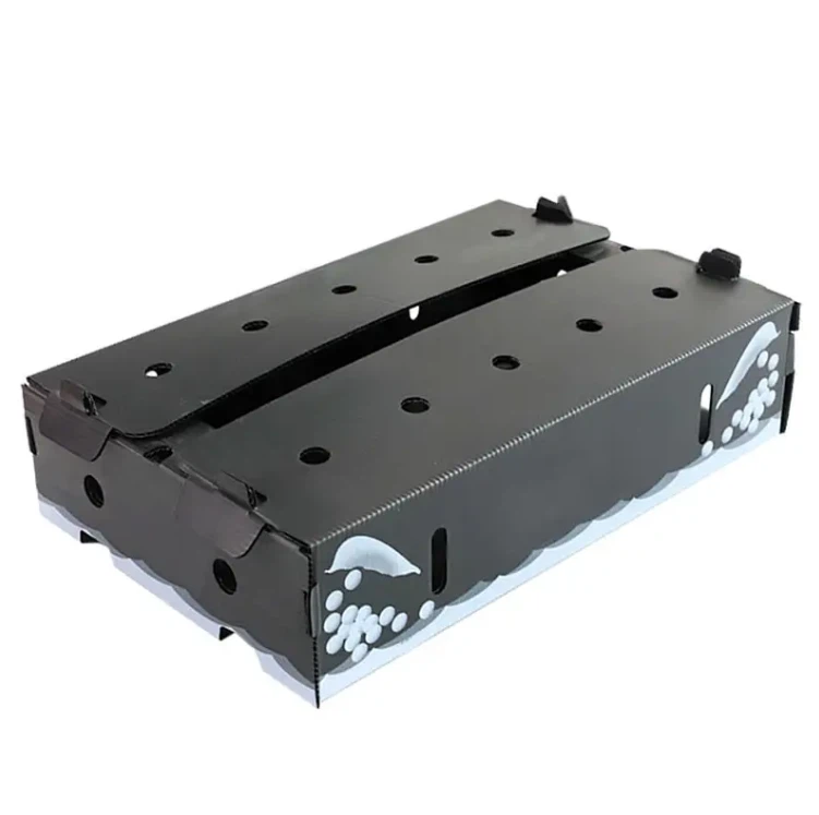Corflute Vegetable Packaging Box - 1
