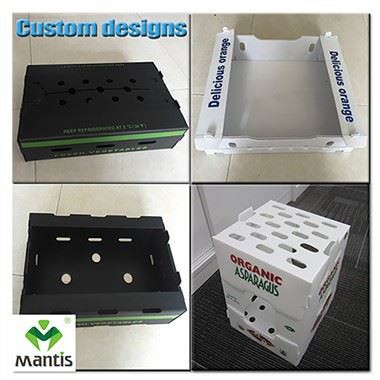 段ボールプラスチック野菜ボックス