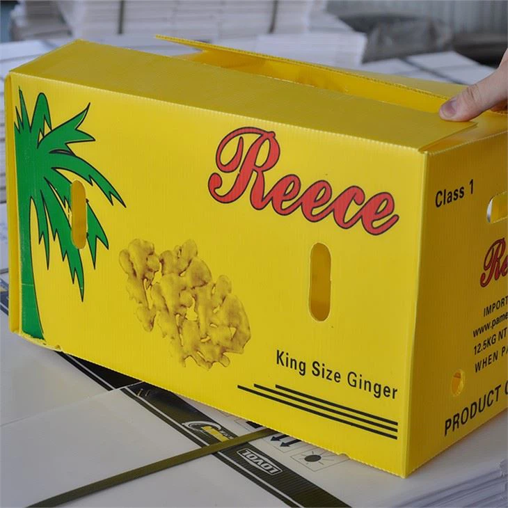 Customized vegetable packaging plastic box(001)