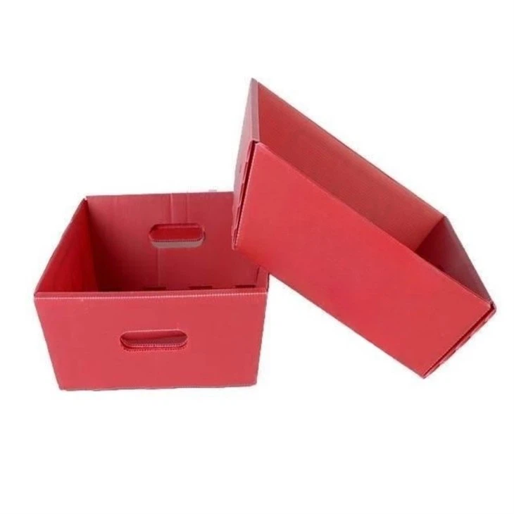 Colorful PP Corrugated Plastic Trays