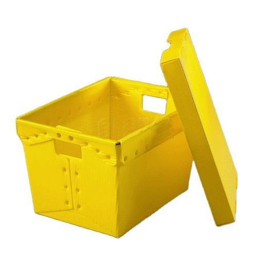 Colorful PP Corrugated Plastic Trays