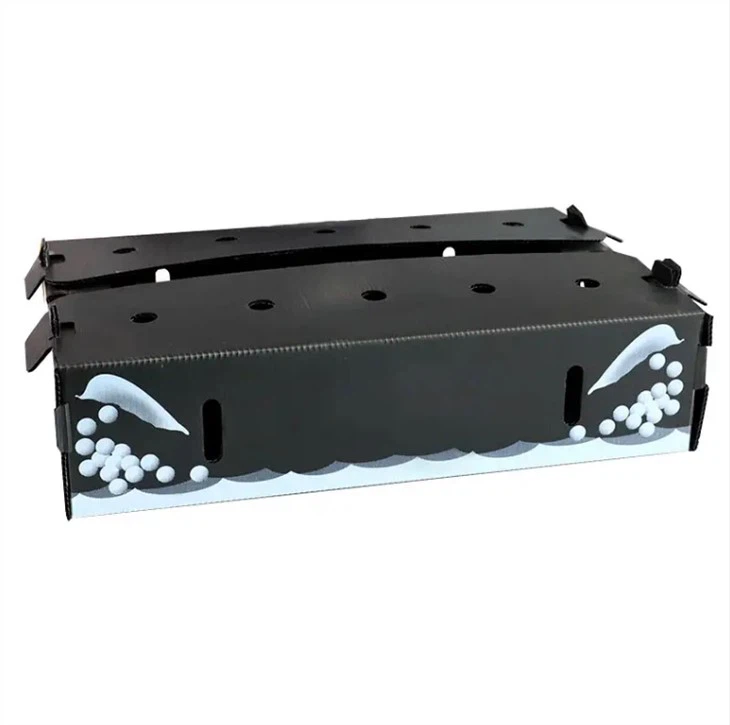 Corflute Vegetable Packaging Box