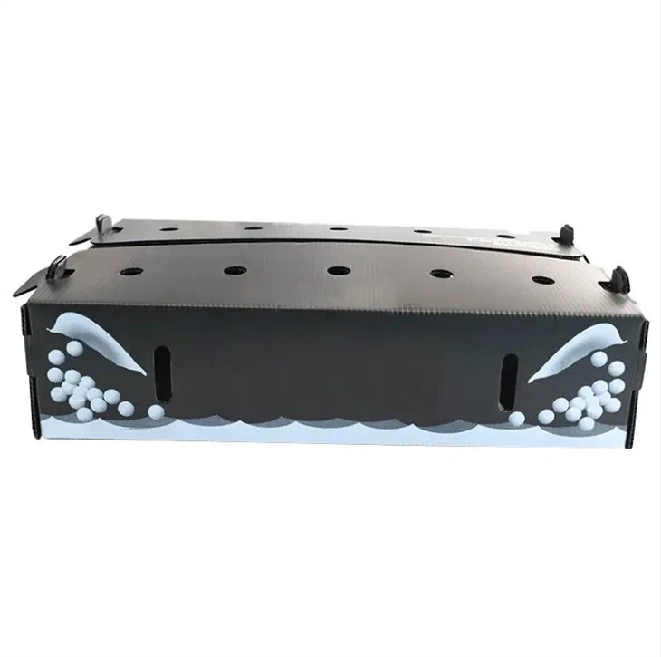 Corflute Vegetable Packaging Box
