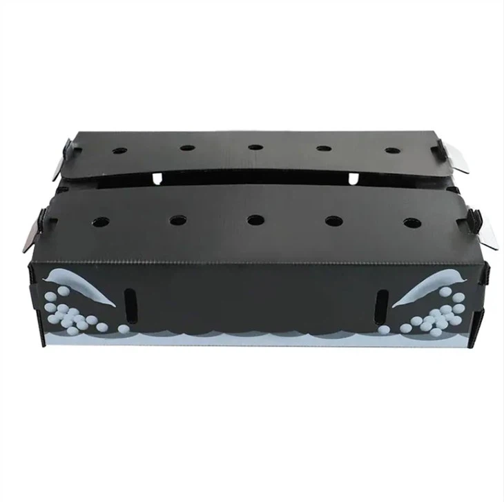 Corflute Vegetable Packaging Box