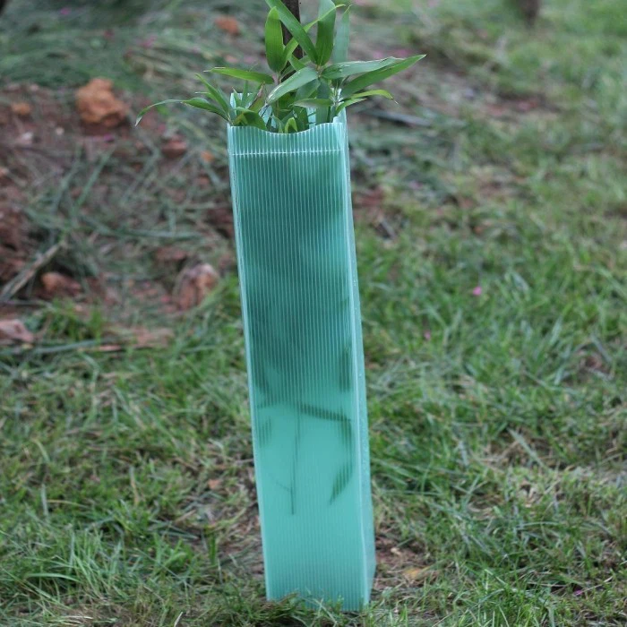 PP Plastic Corflute Tree Guard