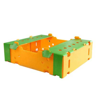 PP段ボールプラスチック野菜ボックス